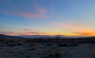 Erin's photo of a dispersed camping area at Joshua Tree South Dispersed Camping near Joshua Tree National Park