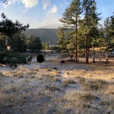 Review photo of Moraine Park Campground — Rocky Mountain National Park by Erin , February 8, 2023