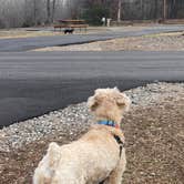Review photo of Statesville RV Park I-77 by Zachary H., February 8, 2023