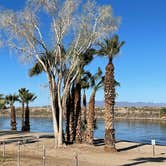 Review photo of Arizona Oasis RV Resort by Brett D., February 8, 2023