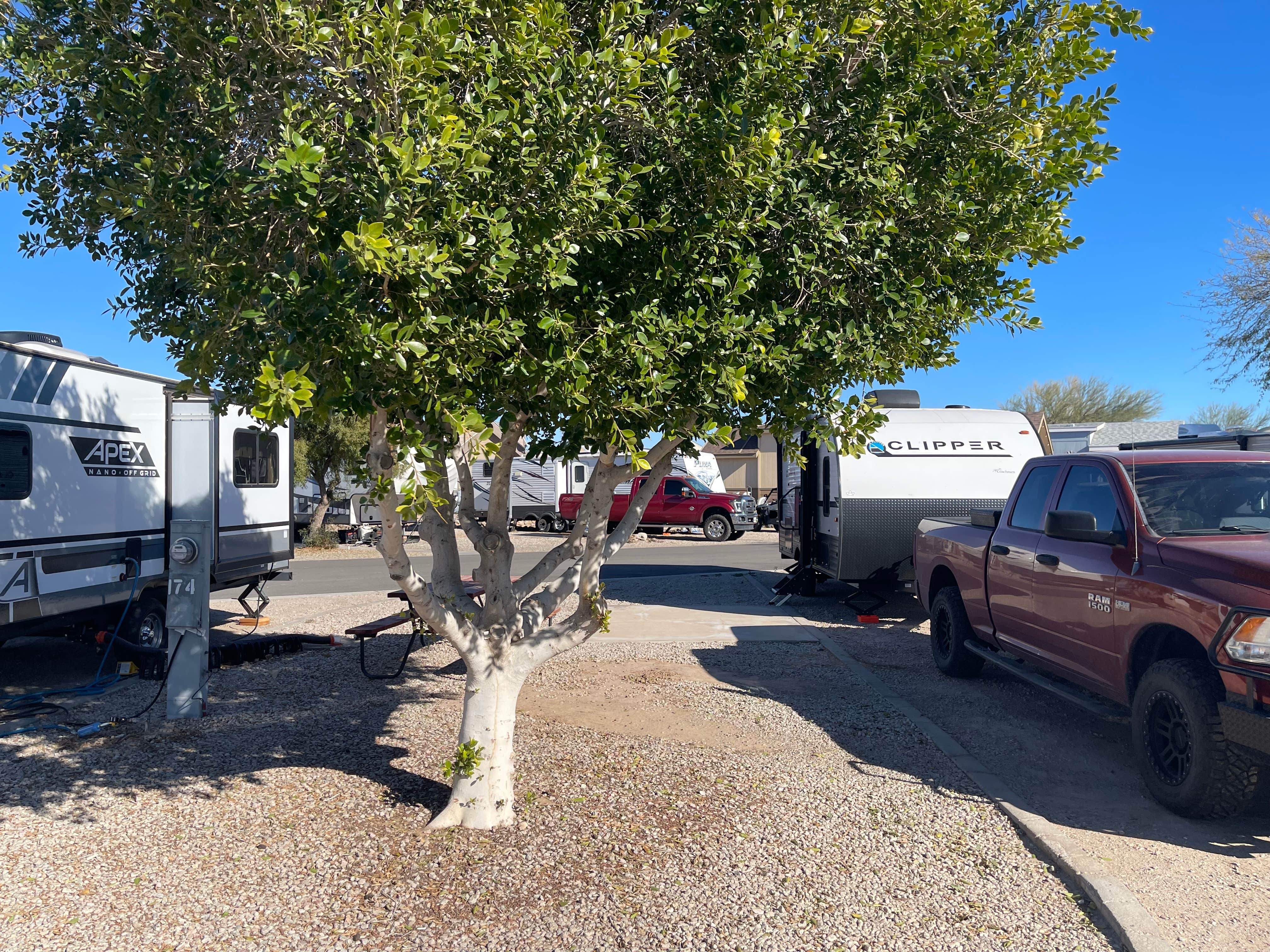 Brett D.'s photo of rv camping at Arizona Oasis RV Resort near Palo Verde, CA