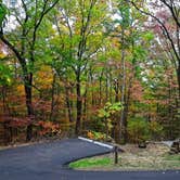 Review photo of Look Rock Campground — Great Smoky Mountains National Park by Kristin S., February 8, 2023