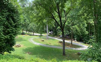ROAM D.'s photo of camping with pets at Turkey Creek Campground near Fontana Dam, NC