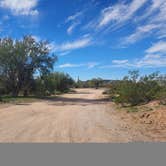 Review photo of Cactus Forest Dispersed by Noah E., February 8, 2023