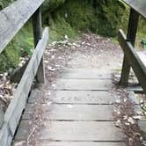 Review photo of Lower Blooms Creek — Big Basin Redwoods State Park — CAMPGROUND CLOSED by Mauriel O., September 29, 2018