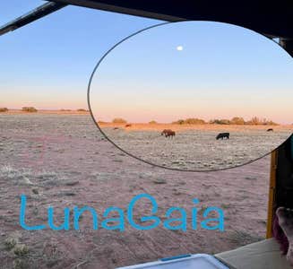 Camper-submitted photo from LunaGaia Nomadic Village