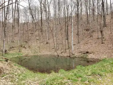 Camper-submitted photo at York Hollow near Elkmont, AL