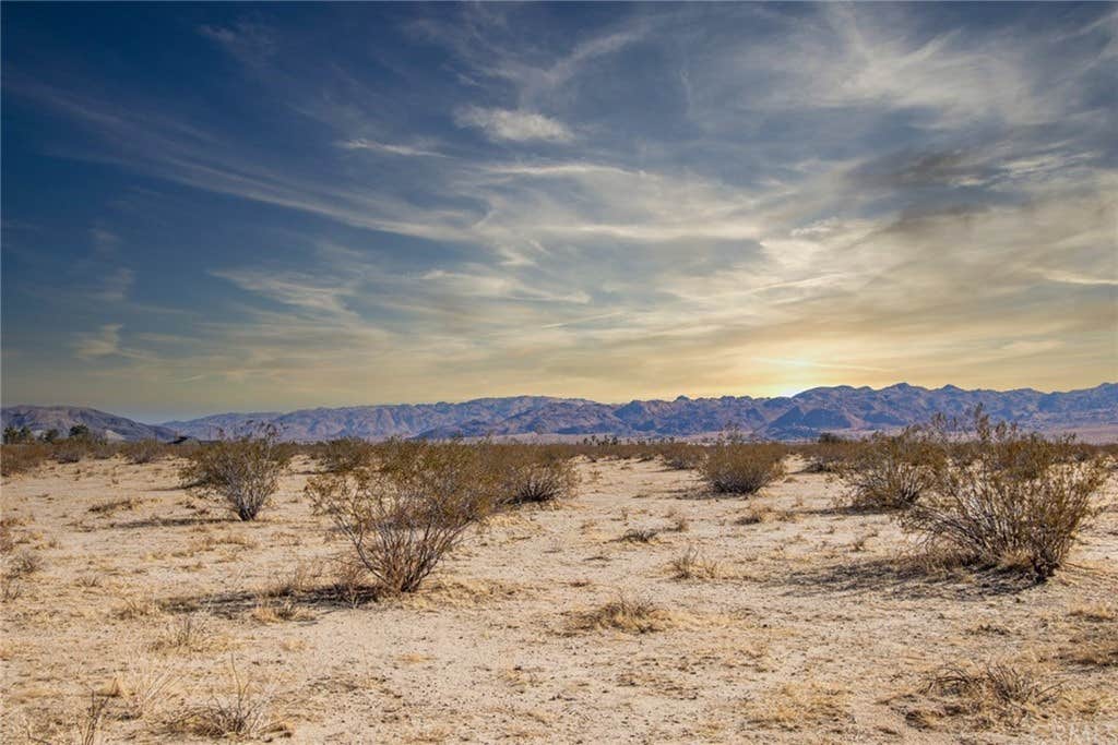 Camping near Joshua Tree RV & Campground: Stargaze Gate, Yucca Valley, California