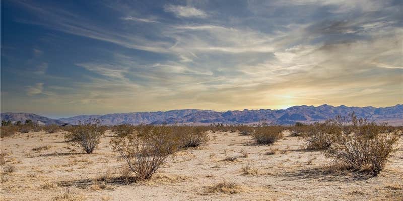 Camper submitted image from Stargaze Gate