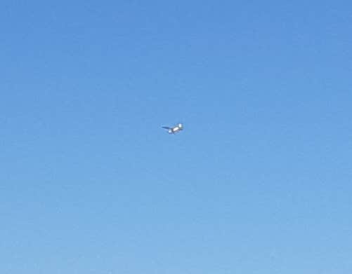Silas T.'s photo of a dispersed camping area at Ironwood Forest BLM National Monument Pump Station Dispersed near Eloy, AZ