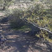 Review photo of Ironwood Forest BLM National Monument Pump Station Dispersed by Silas T., February 9, 2023