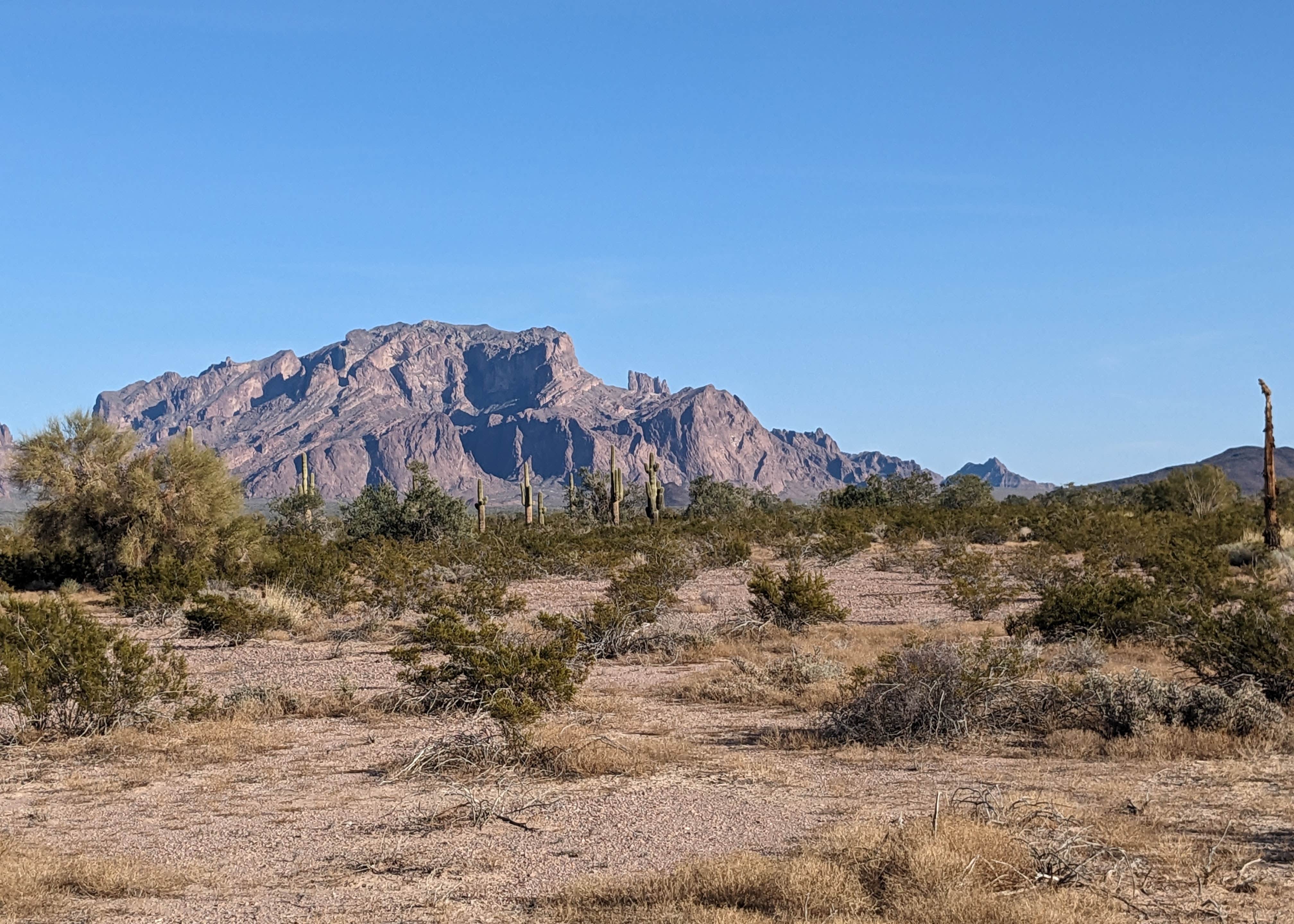 BLM King Valley Road Free Dispersed Camping The Dyrt