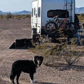 Review photo of BLM King Valley Road Free Dispersed by Greg L., February 9, 2023