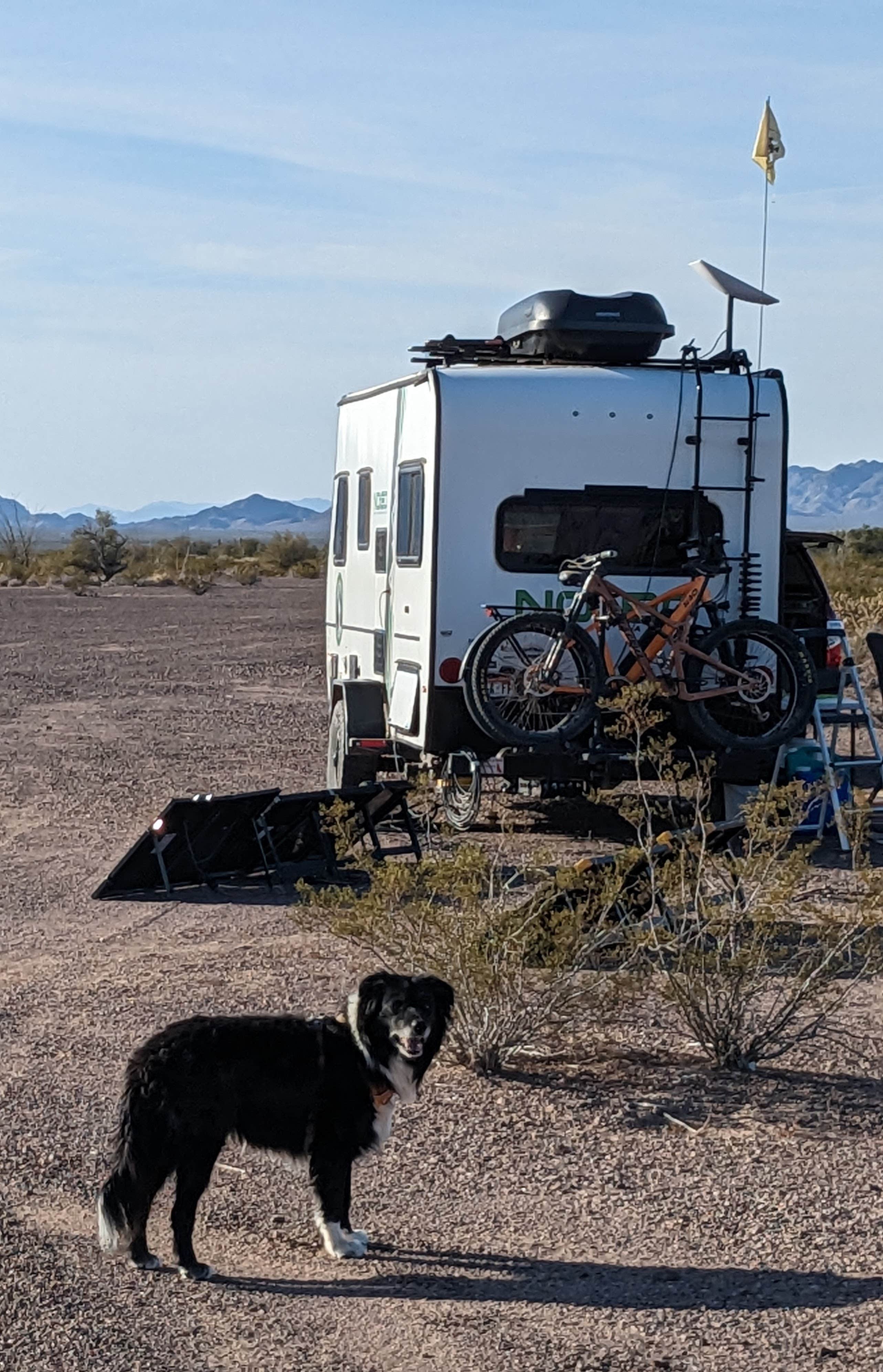 Camper submitted image from BLM King Valley Road Free Dispersed - 2