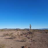 Review photo of Ramsey Mine Rd BLM / Dispersed Camping by Noah E., February 9, 2023