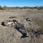 Review photo of Ramsey Mine Rd BLM / Dispersed Camping by Noah E., February 9, 2023