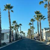 Review photo of Voyager RV Resort & Hotel by Michael C., February 9, 2023