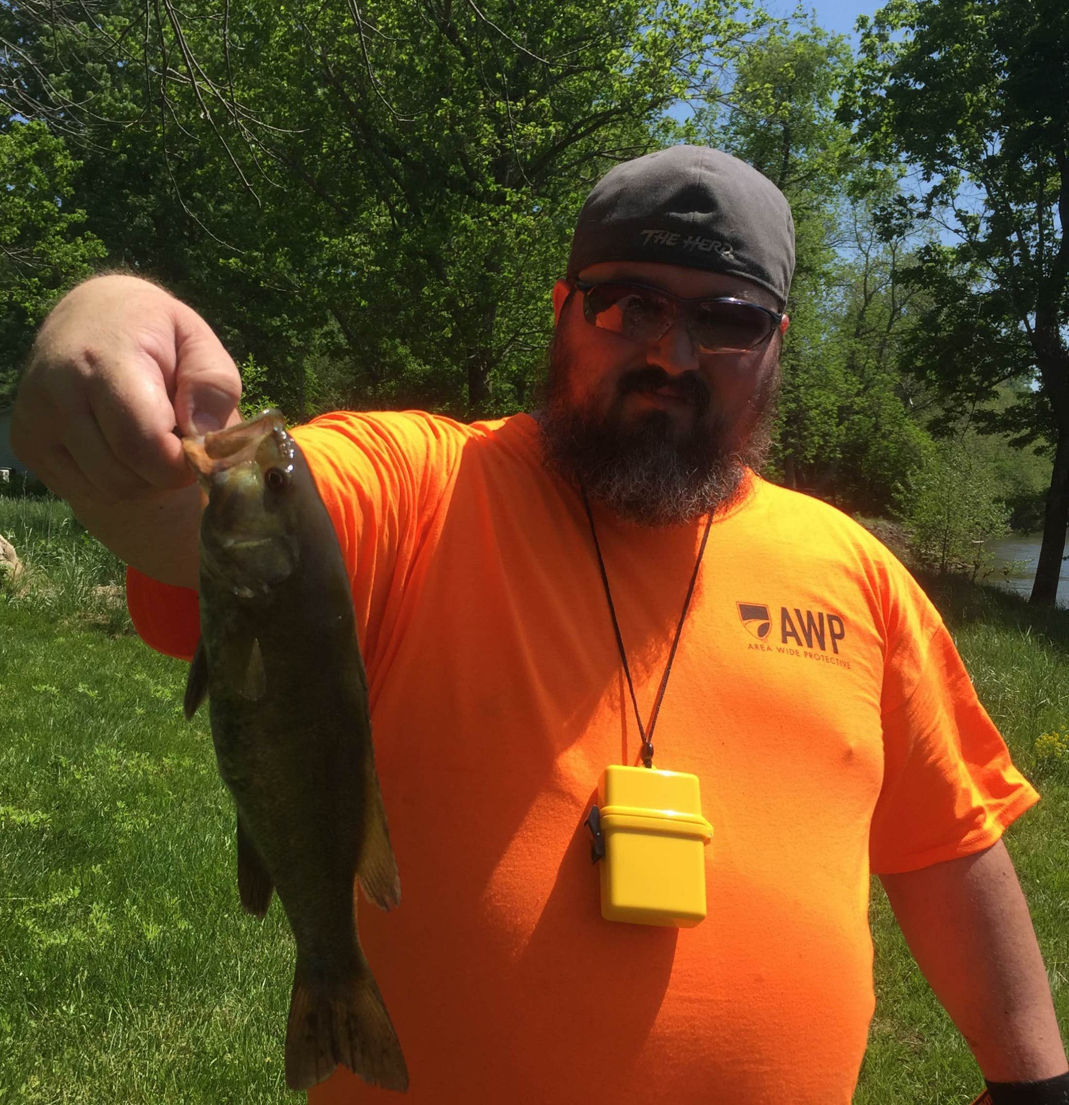 Camper submitted image from New River Junction Campground - 4
