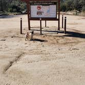 Review photo of Keyesville Recreation Area Dispersed by Raven P., February 9, 2023
