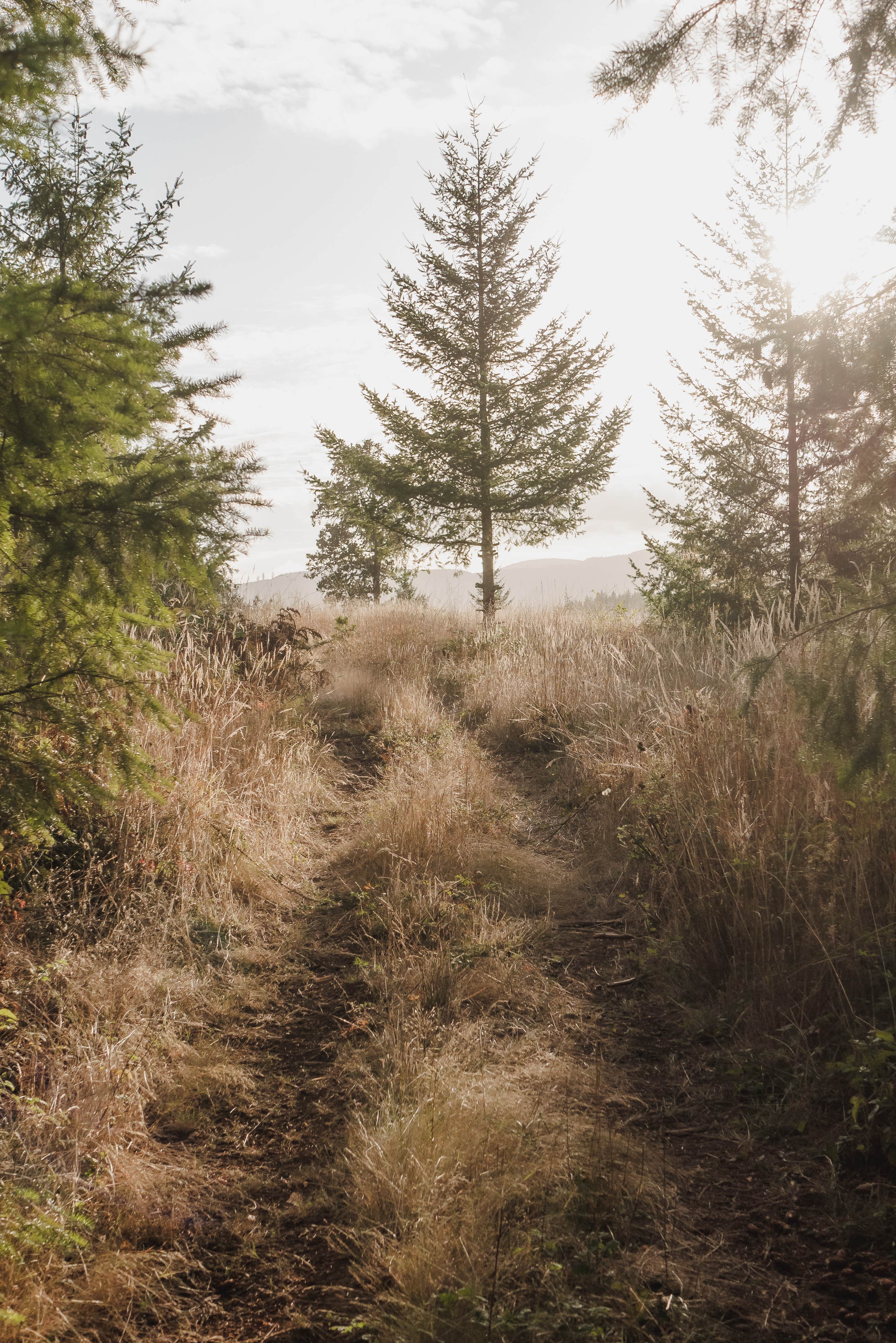 Camping near Valley's Edge RV Park: Liberty Estates, Falls City, Oregon