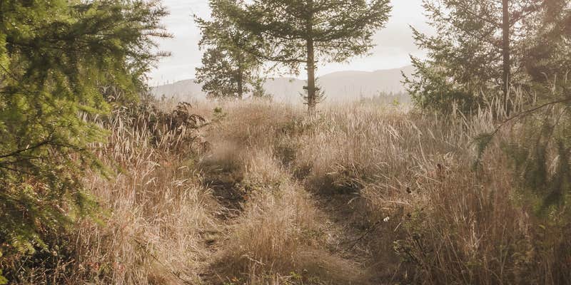 Camper submitted image from Liberty Estates