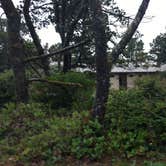 Review photo of South Beach State Park Campground by Natalie B., September 29, 2018