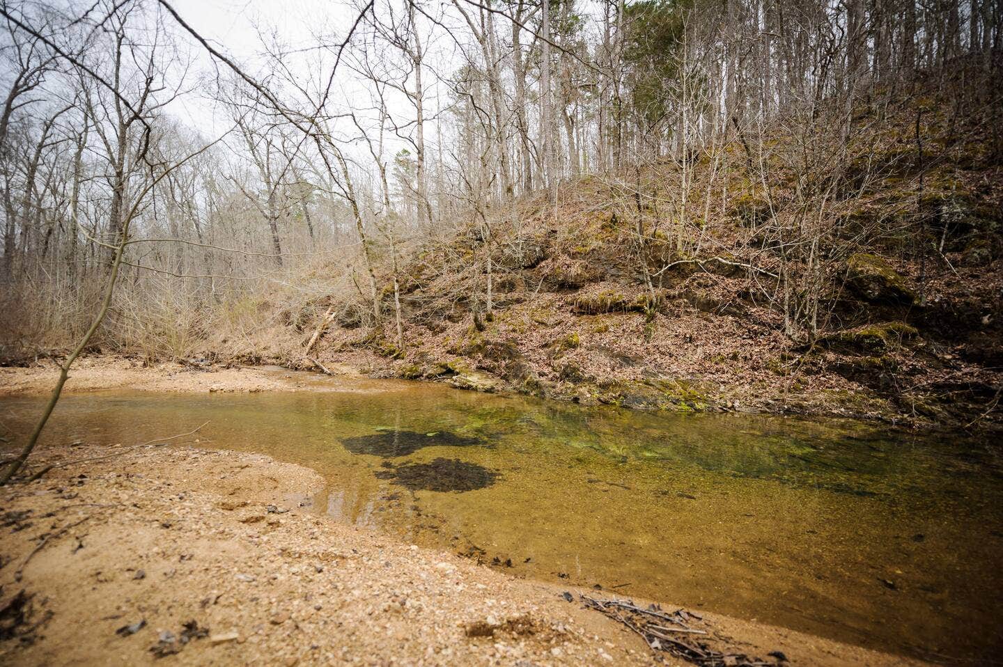 Camper submitted image from Current River Glamping Mark Twain National Forrest - 2