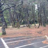 Review photo of South Beach State Park Campground by Natalie B., September 29, 2018