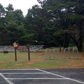 Review photo of South Beach State Park Campground by Natalie B., September 29, 2018