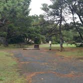 Review photo of South Beach State Park Campground by Natalie B., September 29, 2018