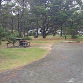 Review photo of South Beach State Park Campground by Natalie B., September 29, 2018