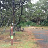 Review photo of South Beach State Park Campground by Natalie B., September 29, 2018