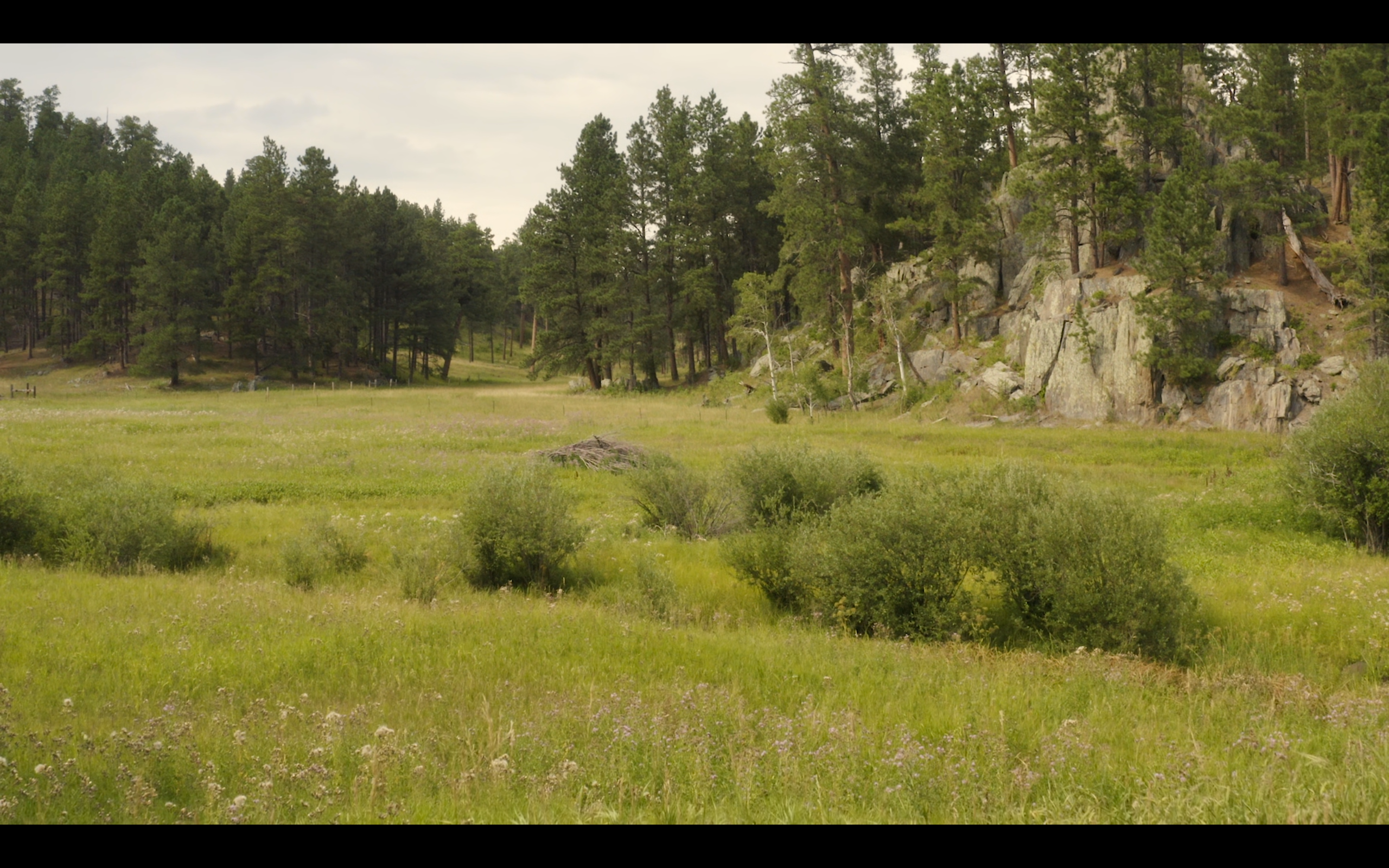 Camping near Black Hills National Forest Bear Gulch Campground: Horse Creek Resort, Hill City, South Dakota