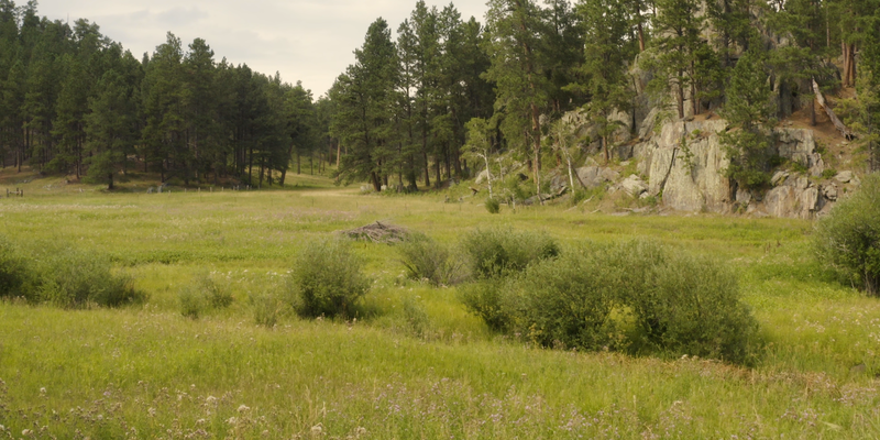 Camper submitted image from Horse Creek Resort