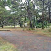 Review photo of South Beach State Park Campground by Natalie B., September 29, 2018