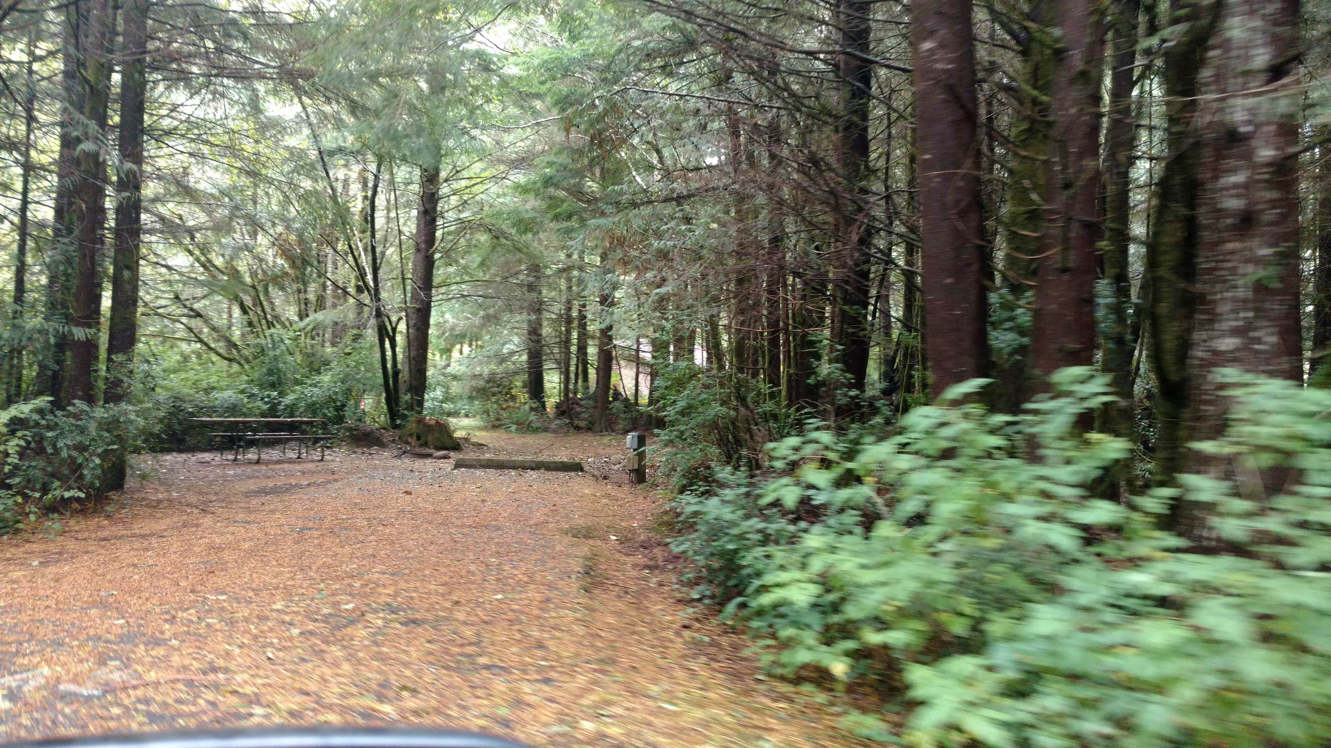 Camper submitted image from Sutton Campground - 5