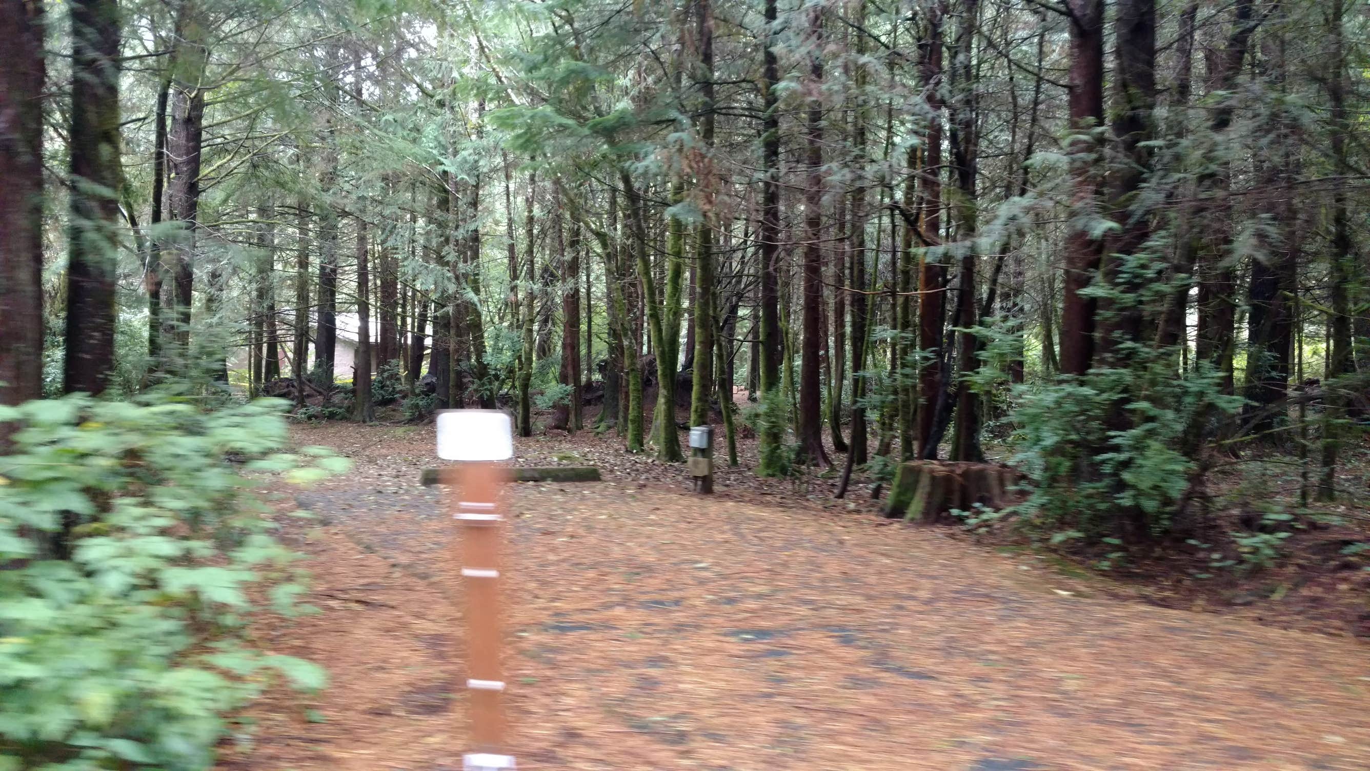 Reedsport - Photo 3