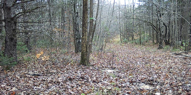 Camper submitted image from Debs Place