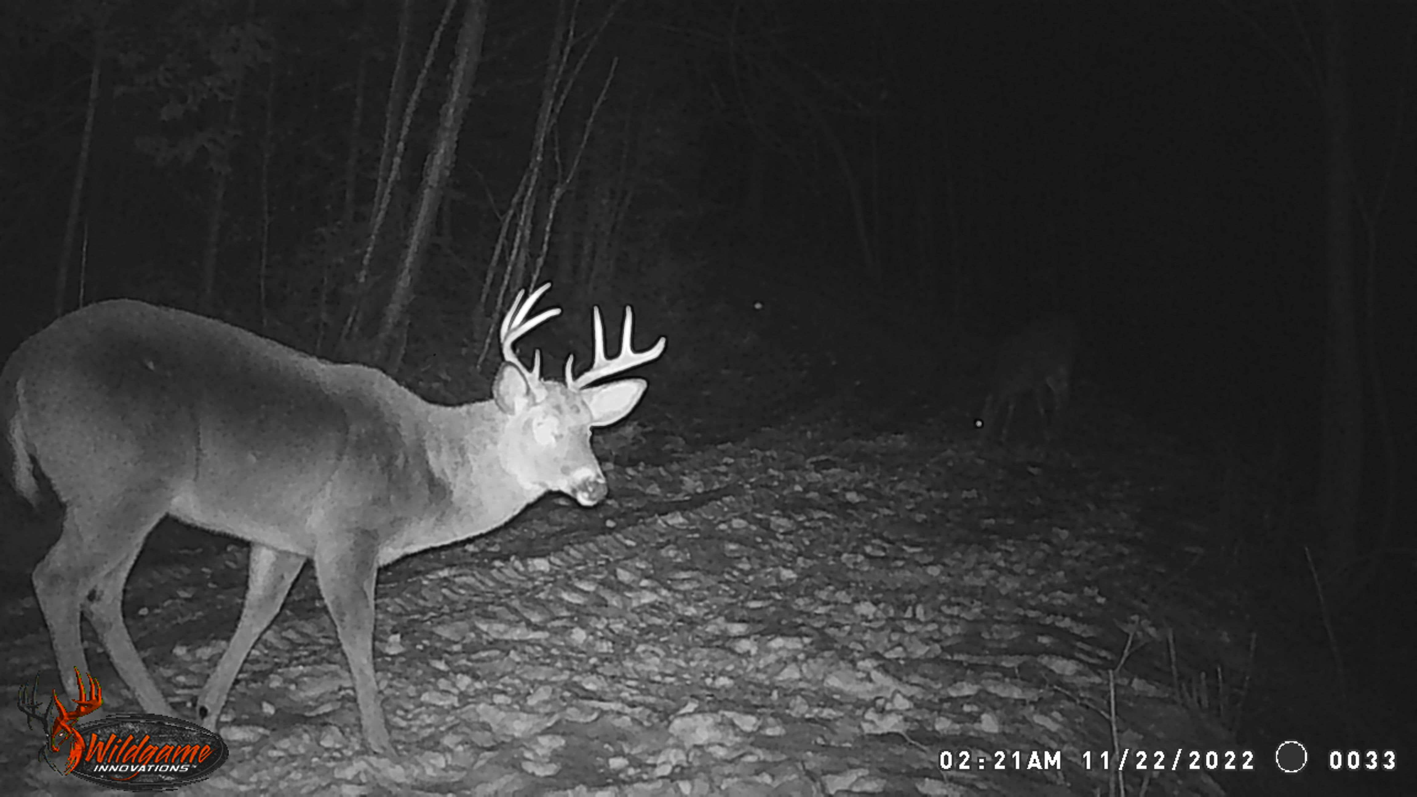 Camper-submitted photo at Debs Place near Houlton, ME