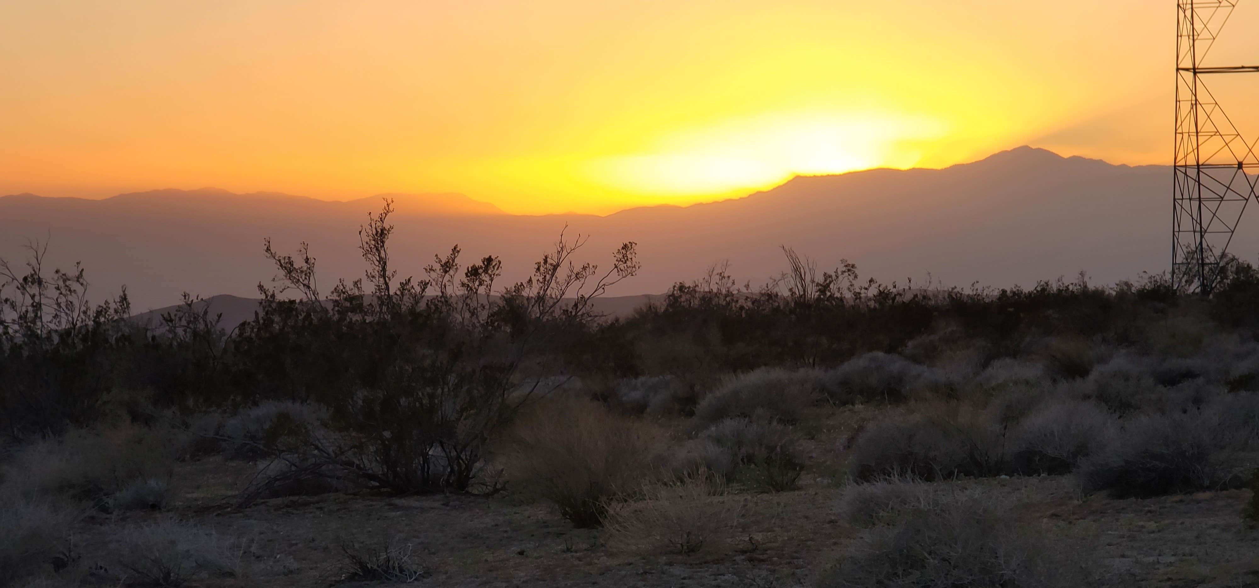 Camper-submitted photo at Joshua tree BLM by entrance near Joshua Tree National Park