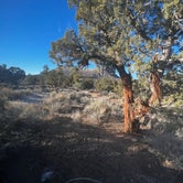 Review photo of Lovell Canyon Dispersed Camping (Spring Mountain) by toni C., February 10, 2023