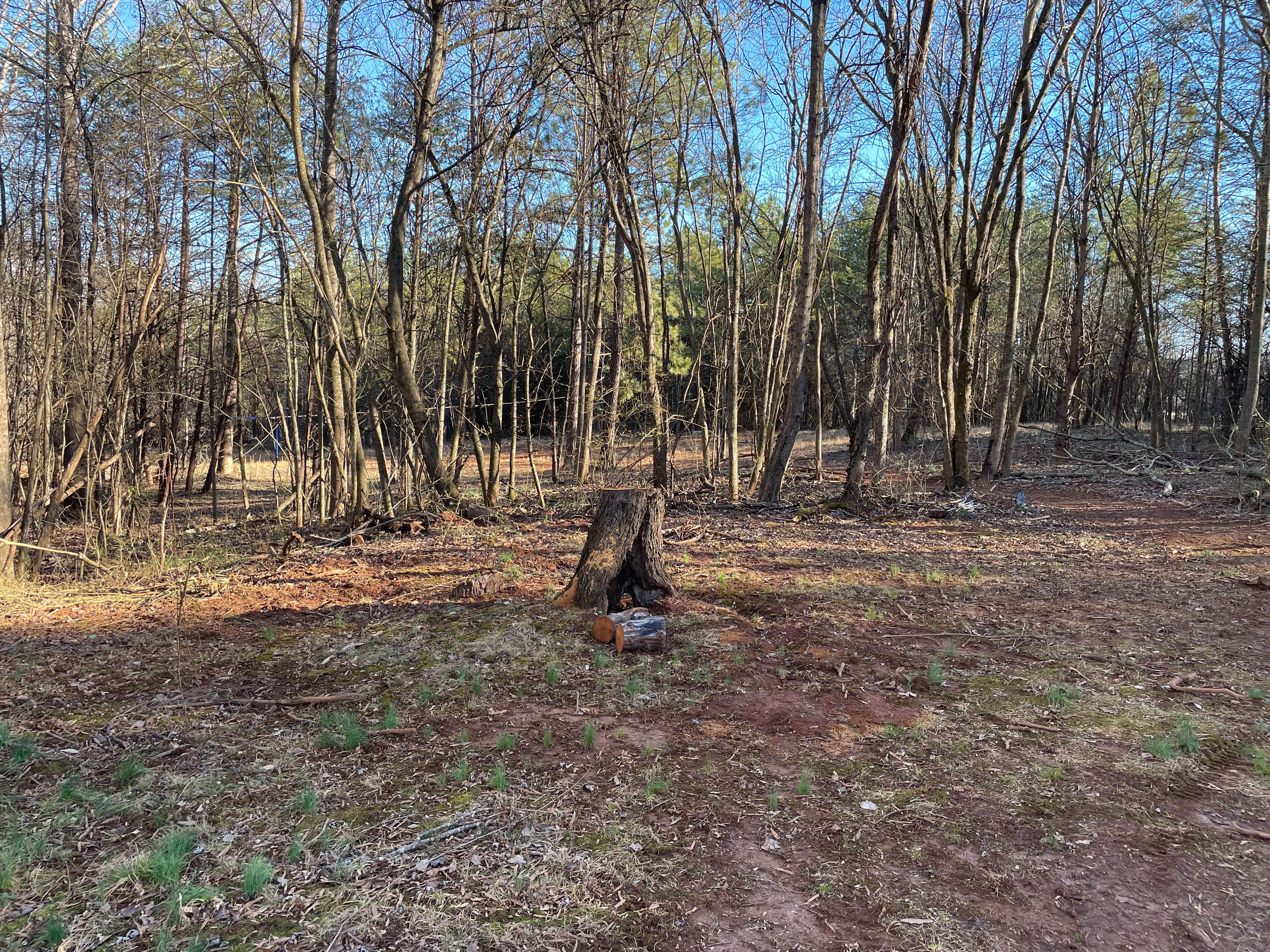 Camper-submitted photo at Steele’s Town Creek Farm near Newton, NC