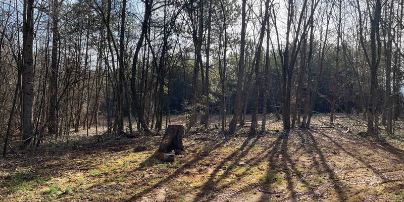 Camper submitted image from Steele’s Town Creek Farm