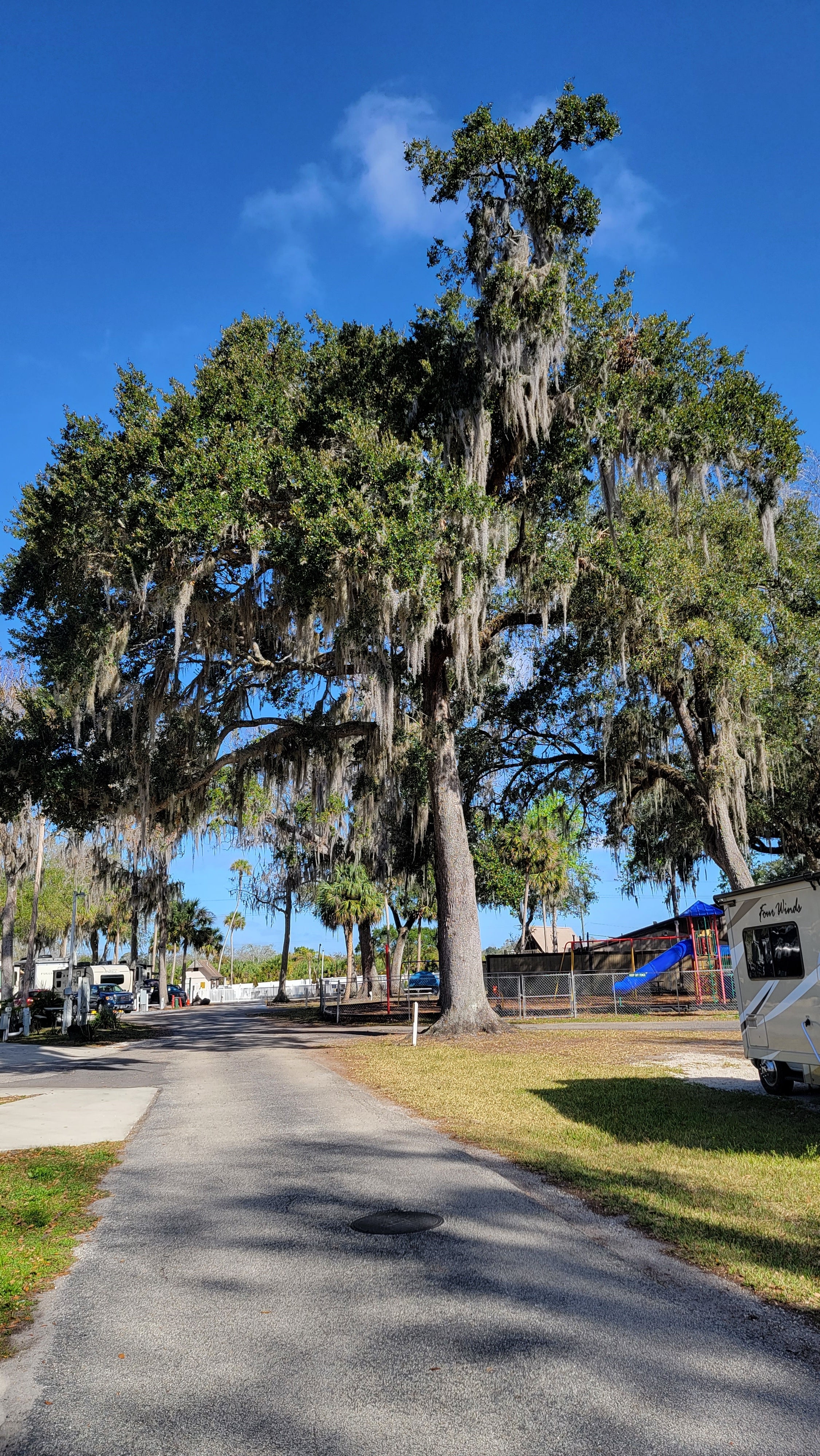 Camper submitted image from Titusville-Kennedy Space Center KOA - 5