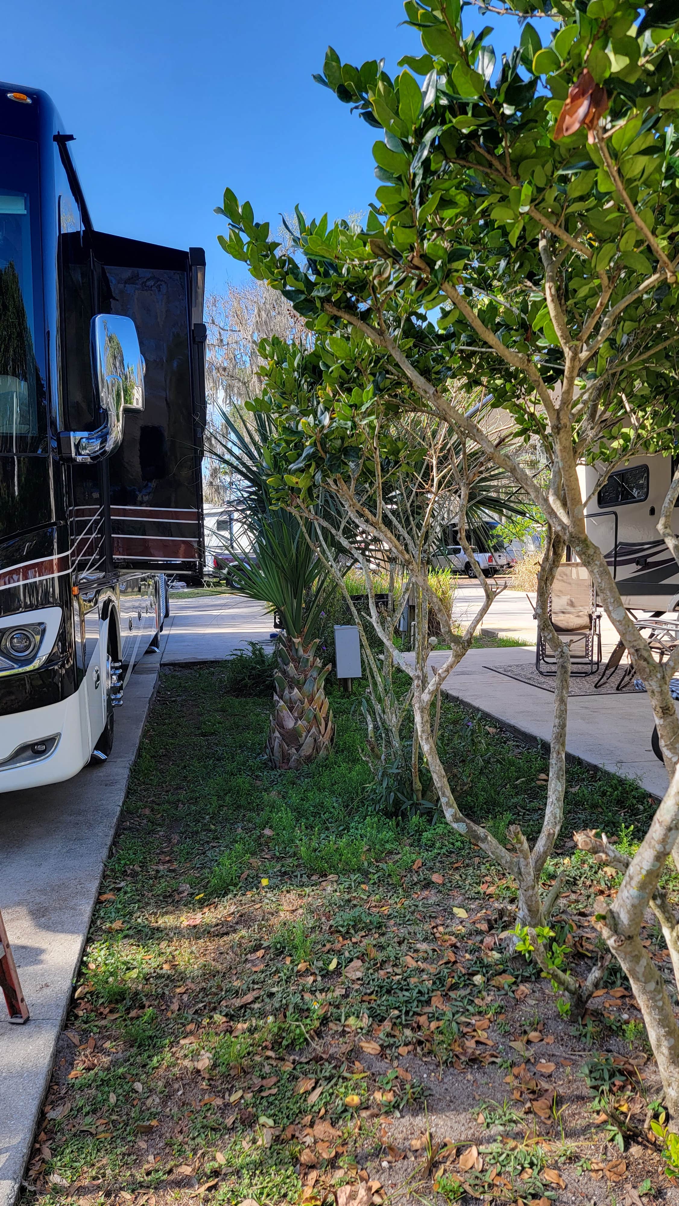 Camper submitted image from Titusville-Kennedy Space Center KOA - 3