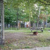 Review photo of Country Bumpkins Campground and Cabins by Jean C., September 29, 2018