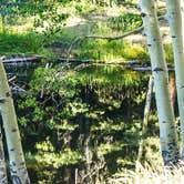 Review photo of Mueller State Park Campground by Renny S., February 10, 2023