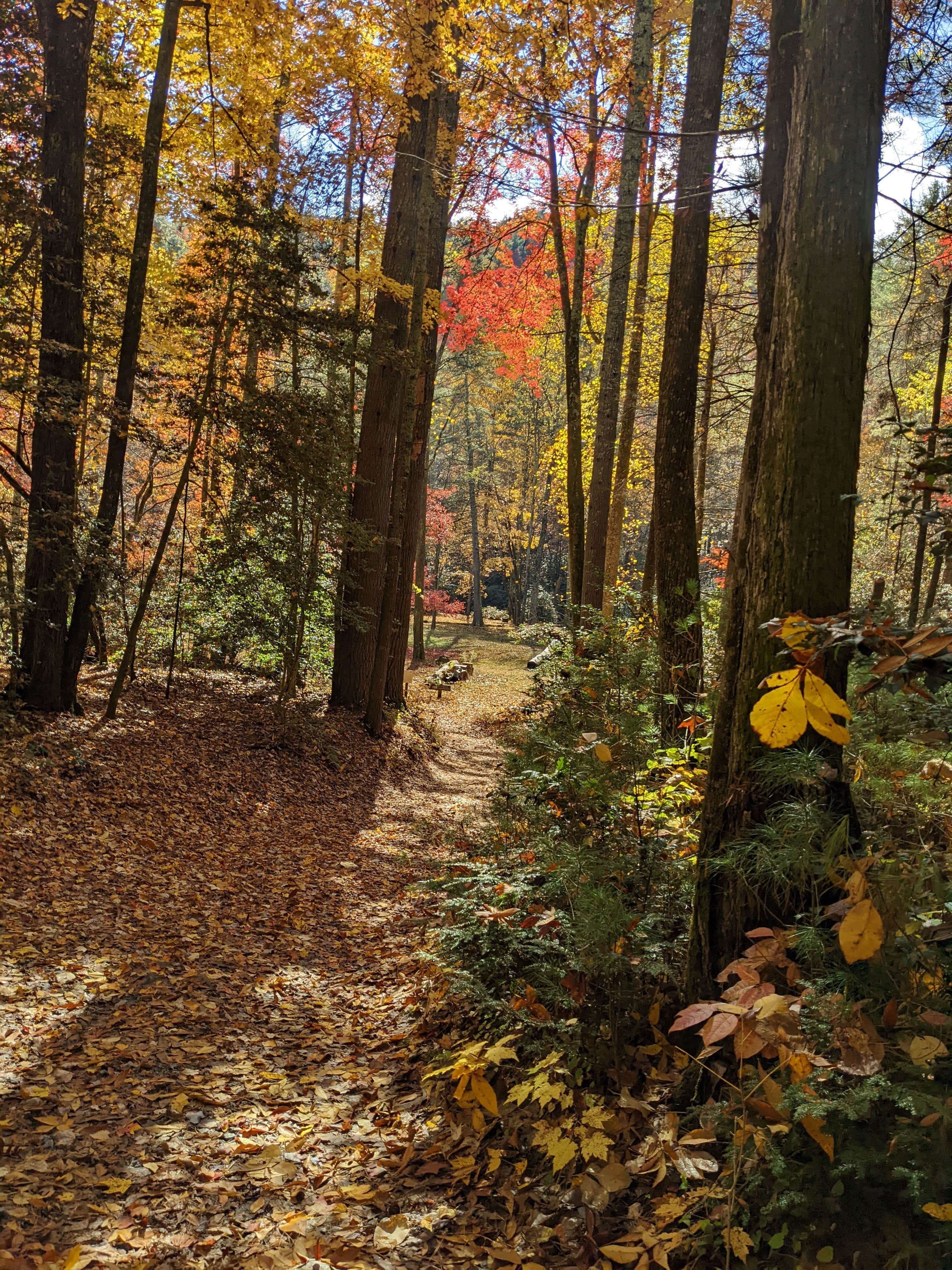 Camper-submitted photo at Upper Falls Backcountry Campground — South Mountains State Park near Boiling Springs, NC