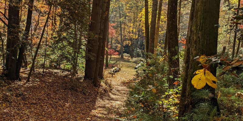 Camper submitted image from Upper Falls Backcountry Campground — South Mountains State Park