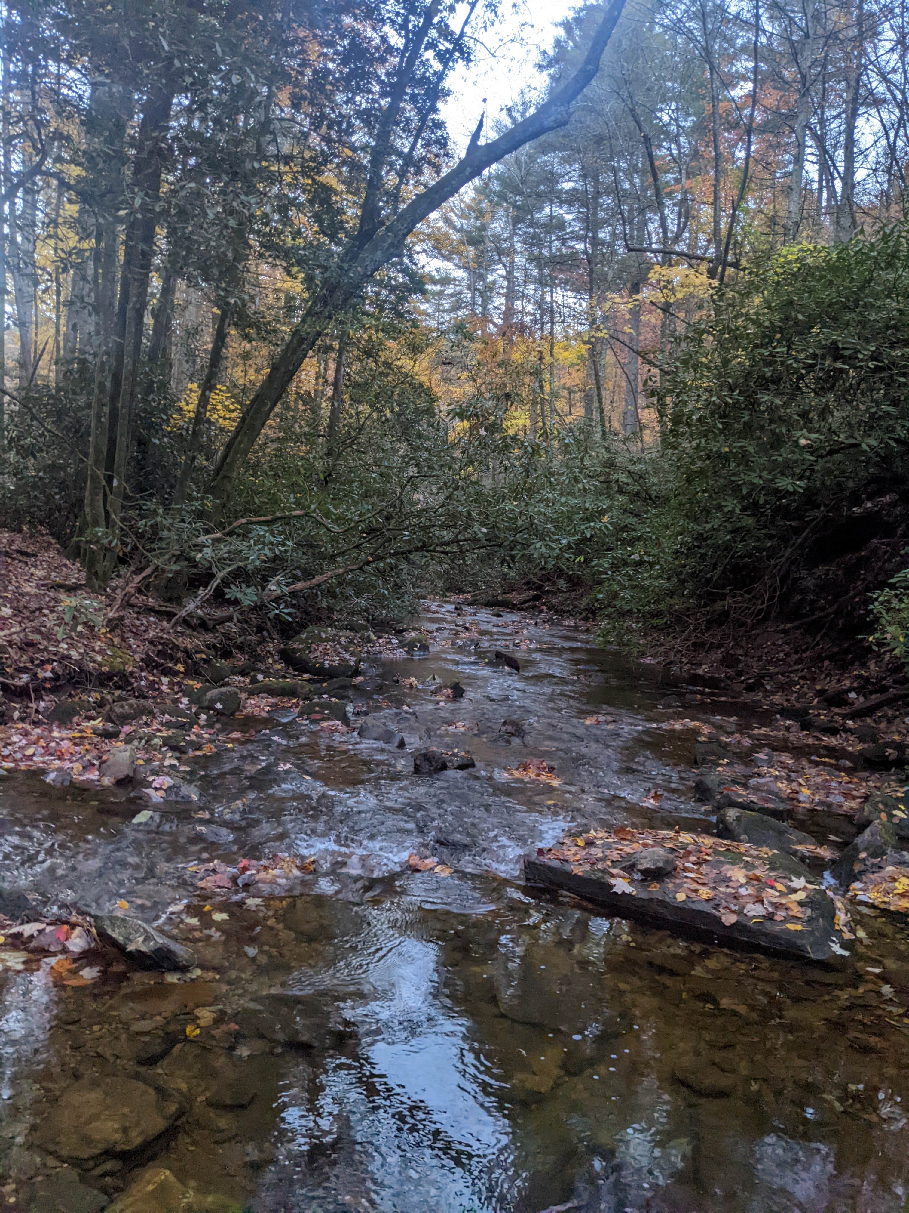 Camper-submitted photo at Upper Falls Backcountry Campground — South Mountains State Park near Boiling Springs, NC